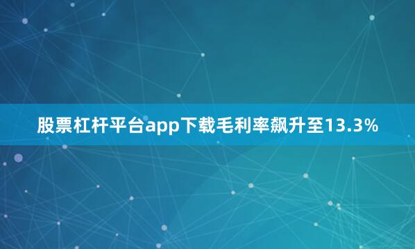 股票杠杆平台app下载毛利率飙升至13.3%