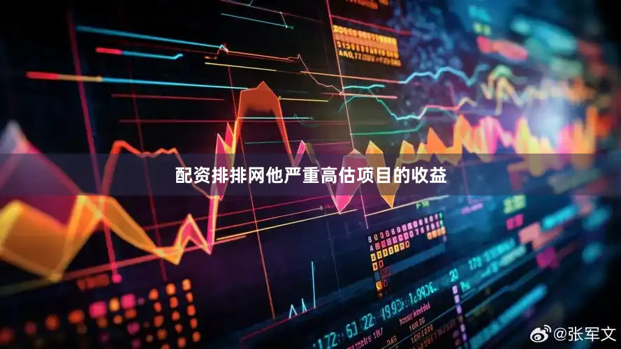 配资排排网他严重高估项目的收益