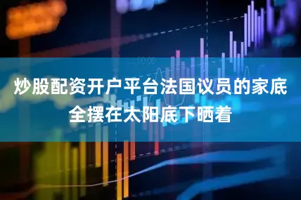 炒股配资开户平台法国议员的家底全摆在太阳底下晒着