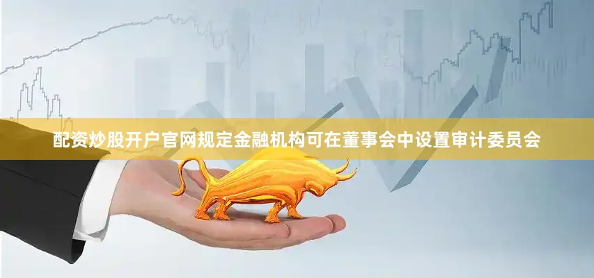 配资炒股开户官网规定金融机构可在董事会中设置审计委员会